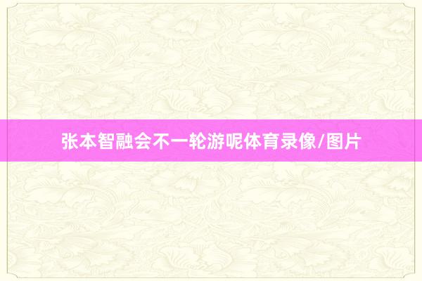 张本智融会不一轮游呢体育录像/图片