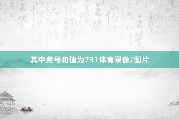 其中奖号和值为731体育录像/图片