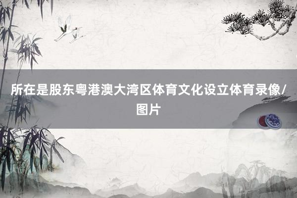 所在是股东粤港澳大湾区体育文化设立体育录像/图片