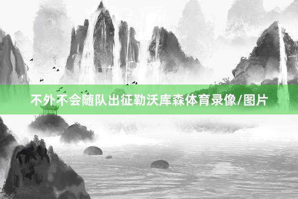 不外不会随队出征勒沃库森体育录像/图片