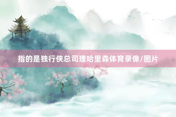 指的是独行侠总司理哈里森体育录像/图片