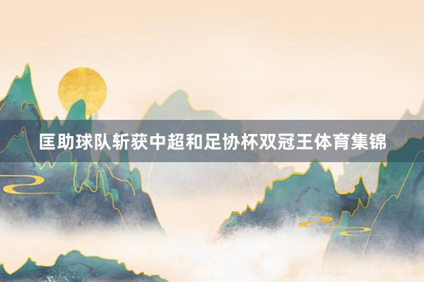 匡助球队斩获中超和足协杯双冠王体育集锦