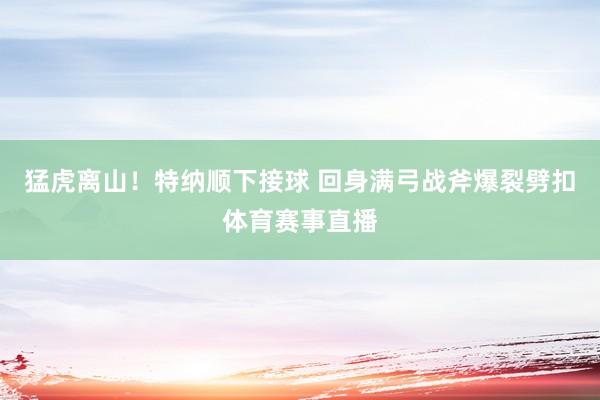 猛虎离山！特纳顺下接球 回身满弓战斧爆裂劈扣体育赛事直播