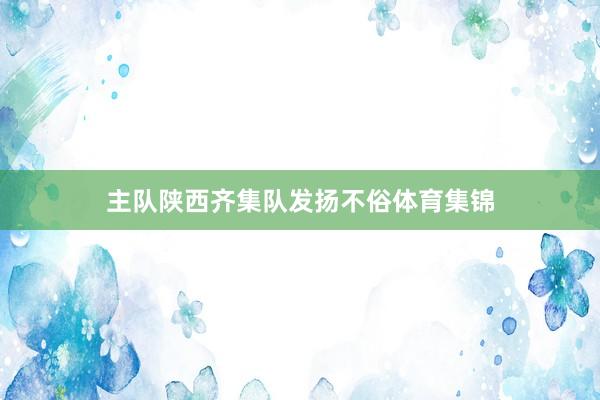 主队陕西齐集队发扬不俗体育集锦