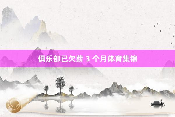 俱乐部已欠薪 3 个月体育集锦
